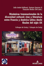 Dinámicas transnacionales de la diversidad cultural : cine y literatura entre Francia y América latina desde finales del siglo XX